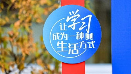 数字文化创意内容应用服务 徐汇打造开放式学习空间，赋能家门口的美好教育